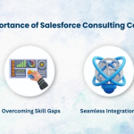 2025 Salesforce CRM Consulting: Welcome to the AI Age