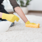 Area Rug Cleaning in Denver: Protecting Your Home’s Art