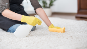 Area Rug Cleaning in Denver