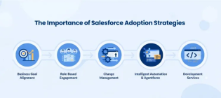 Salesforce Adoption Challenges