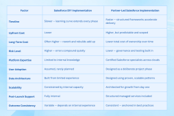 Salesforce Implementation Partner vs DIY