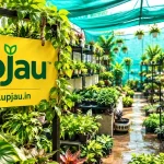 How Upjau Grew from a Terrace Startup to a Pan-India Plant Nursery