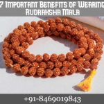 7 Important Benefits of Wearing Rudraksha Mala