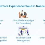 Using Salesforce Experience Cloud to Empower Nonprofits: A Brief Guide