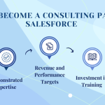 How to Increase Your Return on Investment with Salesforce Consulting Partners