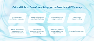 Salesforce adoption strategies
