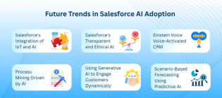 Salesforce AI Implementation