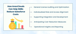 Salesforce License Management