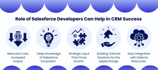 Role of Salesforce Developers
