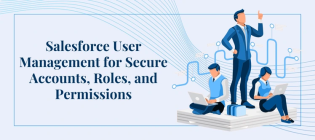 Salesforce User Management